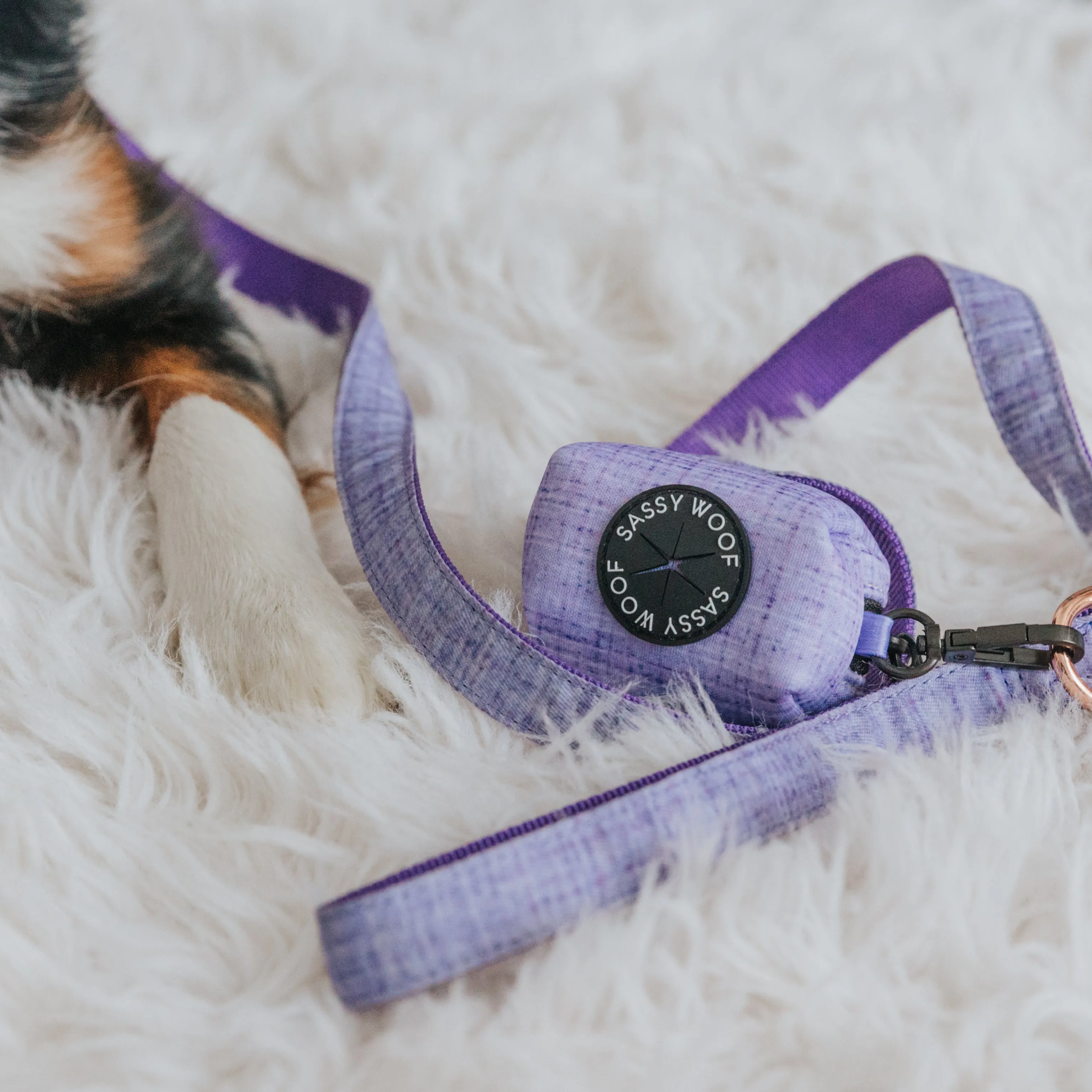 Collar Three Piece Bundle - Aurora