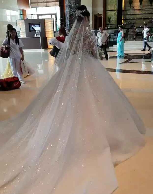 Glamorous Long Sleeve Ball Gown Wedding Dresses | Lace Appliques Tulle Bridal Gown BC0895